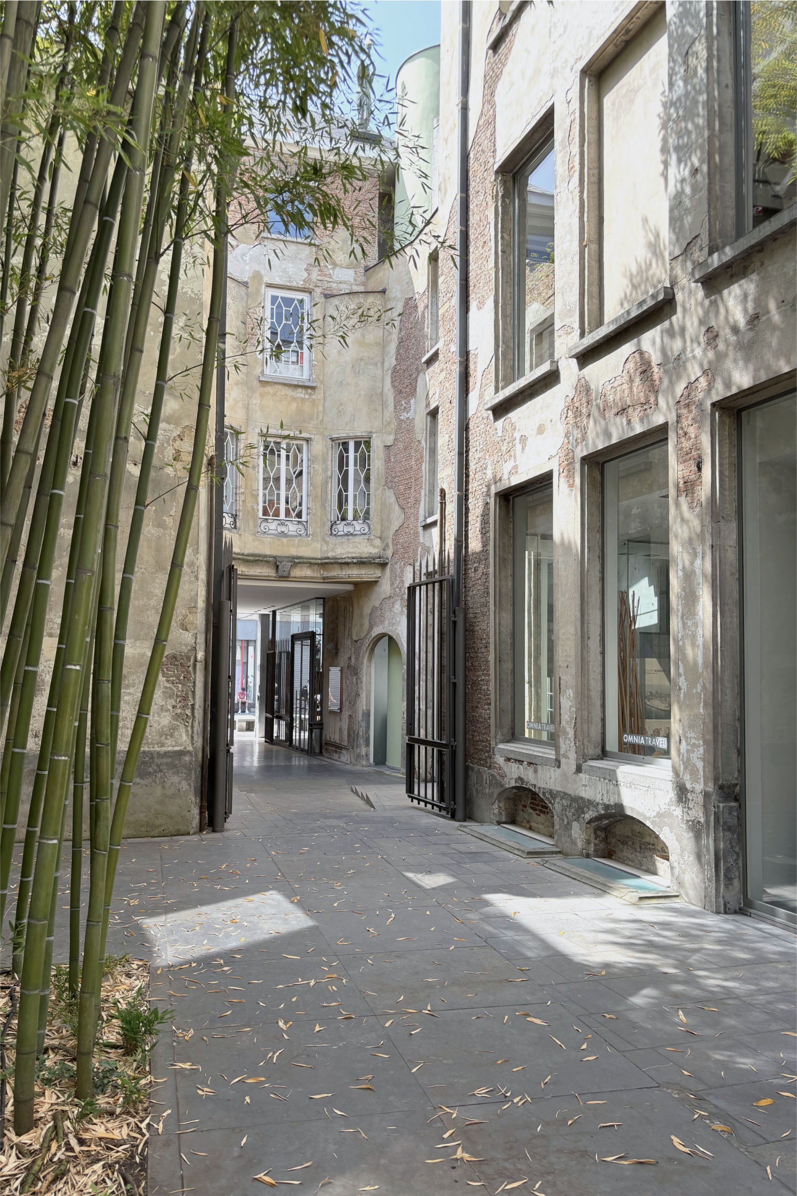Blick aus einem historischen Innenhof in Antwerpen mit hohem Bambus und erhaltenen Bestandsfassaden